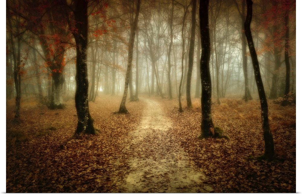 Slightly blurred photograph of dirt path in the forest that covered with fallen leaves.