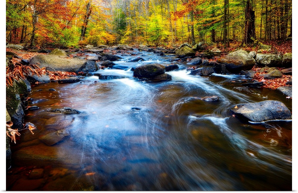 Rushing water in a river in a forest in autumn, New Jersey.