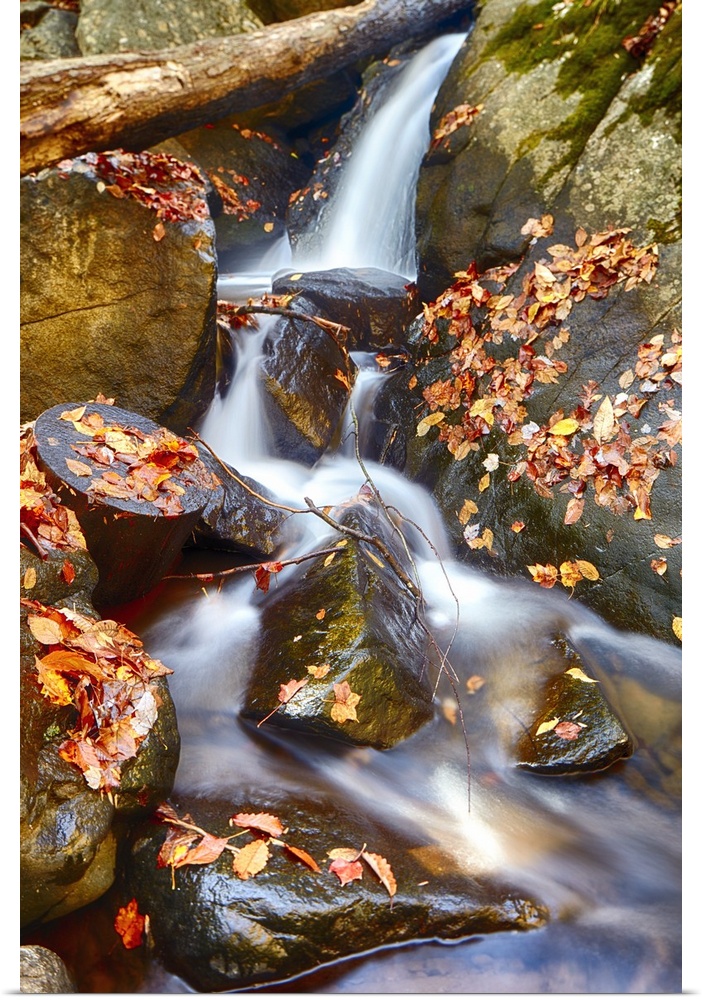 Water cascading over rocks covered in fallen autumn leaves.