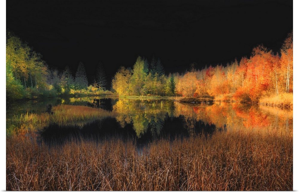 Autumn trees lining a lake and reflecting into the water, with a dark black sky.