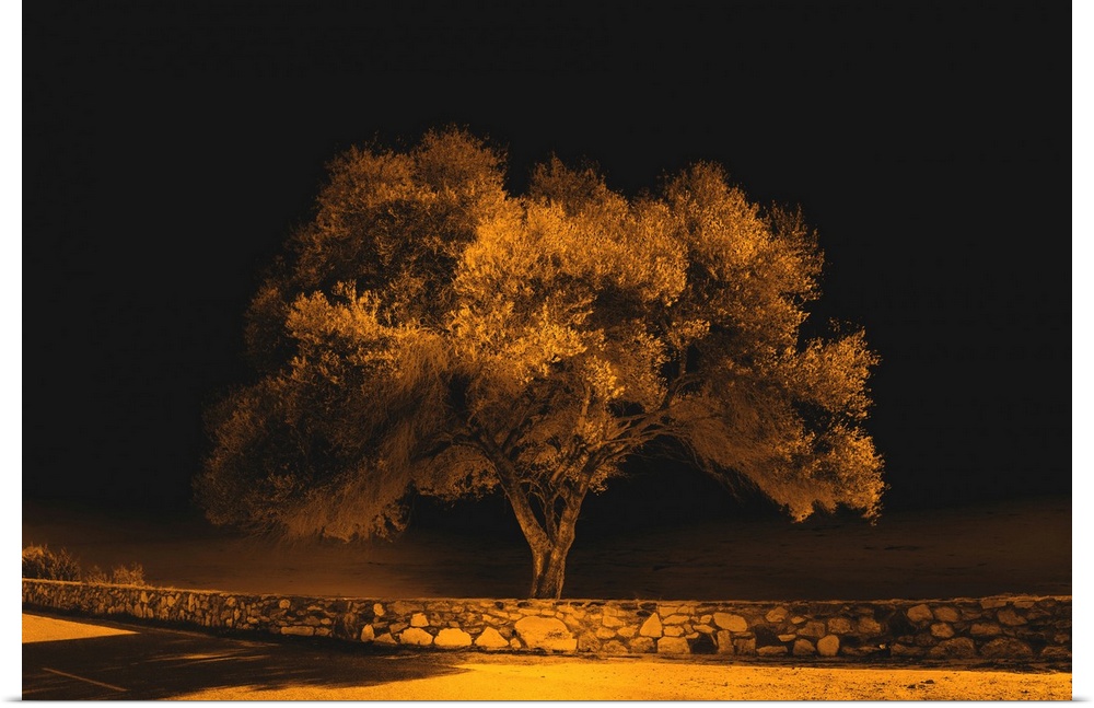 Inferred photograph of a single tree behind a stone wall and street in orange and black tones.