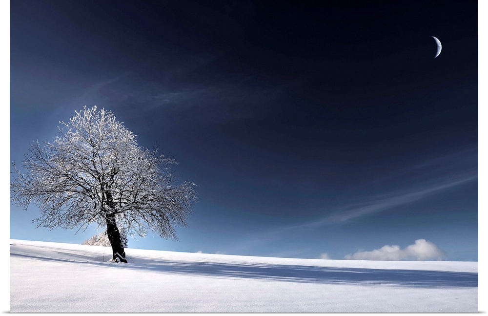 Snowy landscape with the moon