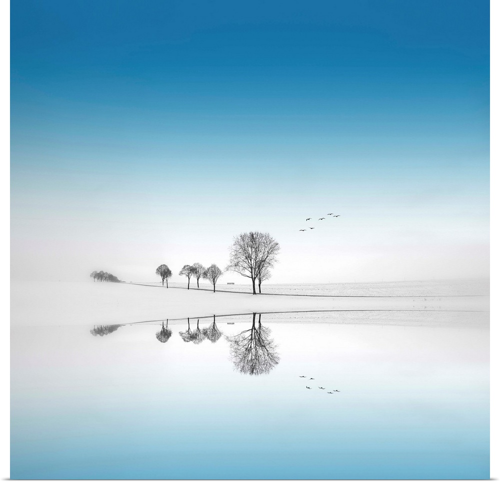 Trees without leaves with a reflection on a blue background