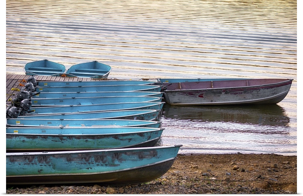 A photograph of blue row boats sitting on the shoreline of a lake.