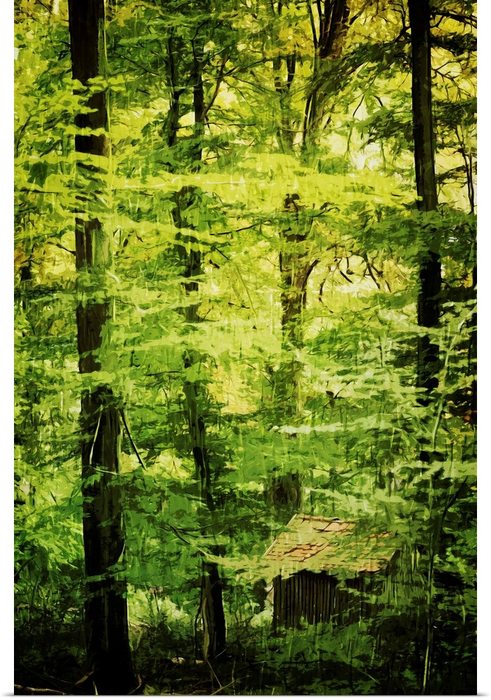 Fine art photo of cabin hidden in the green foliage of a dense forest.