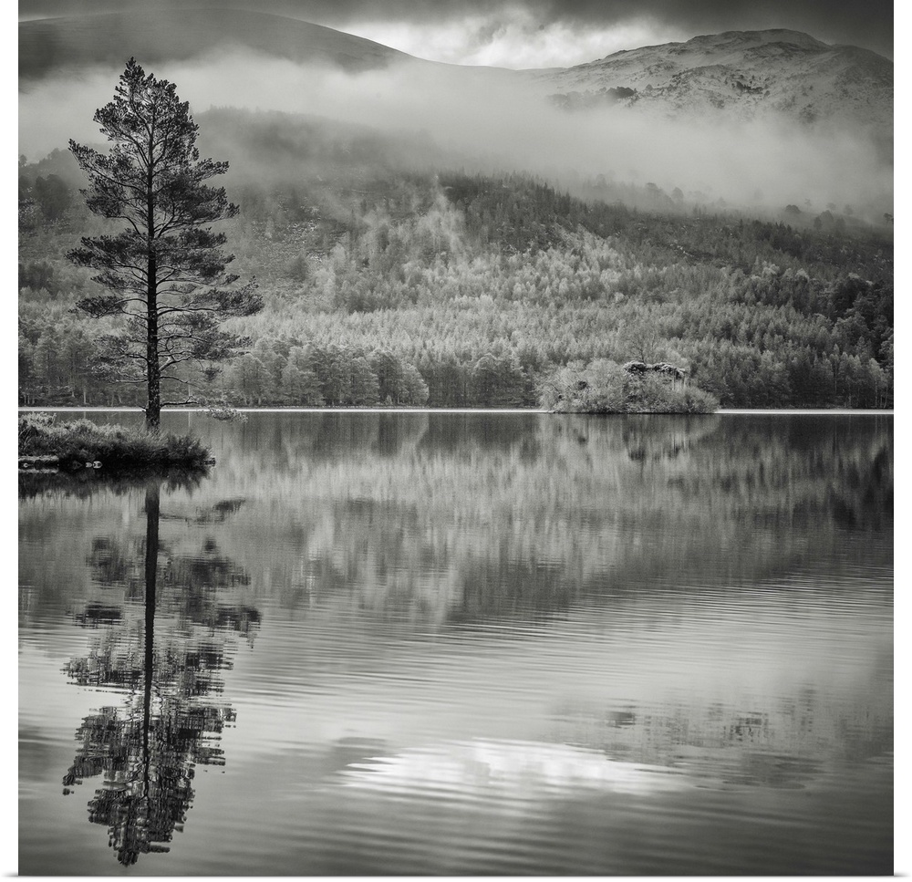 A monochrome lake with beautiful reflections of the trees and hills from the Scottish Cairngorm National Park, UK.