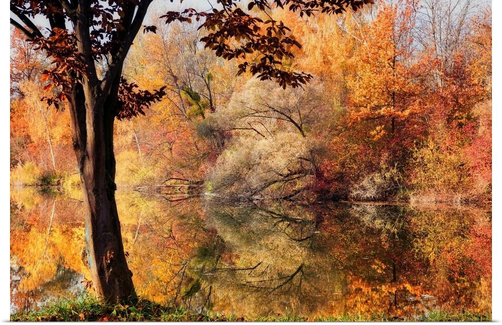 Autumn foliage surrounding a lake