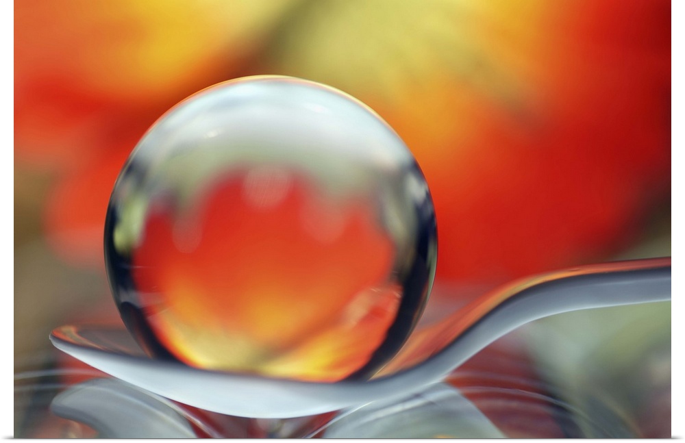 A macro photograph of a water droplet sitting