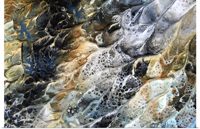 Close-Up, Macro View Of Seaweed, Kelp And Sand In The Ocean