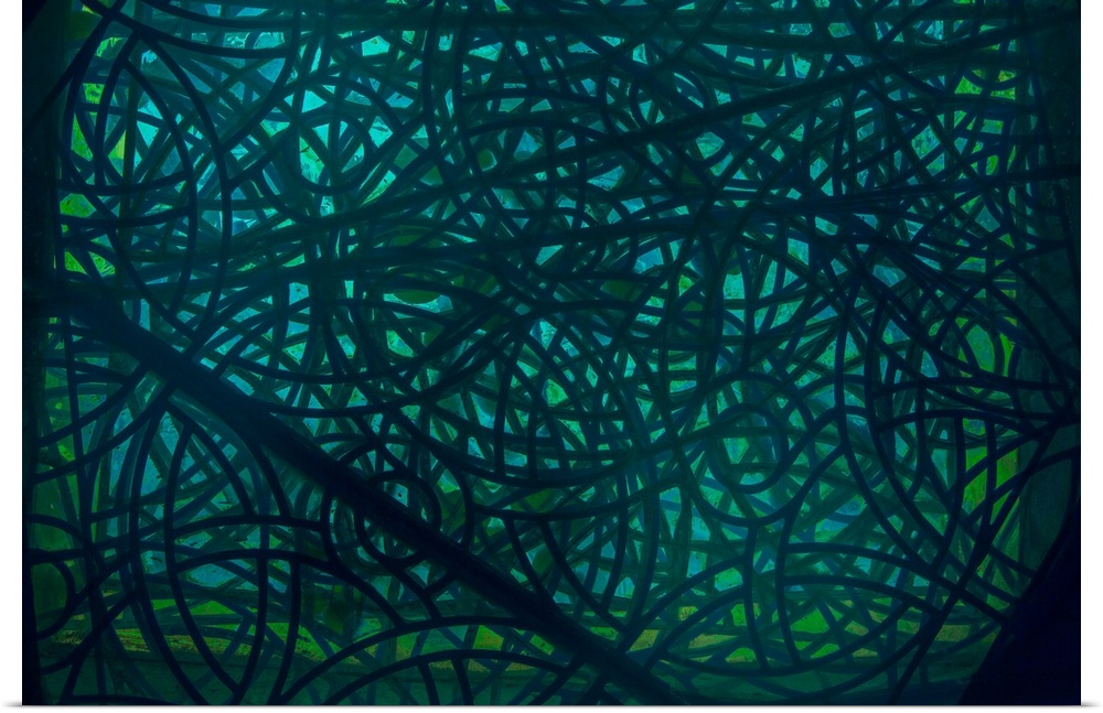 A complex abstract of interlacing curving forms in black and emerald green.