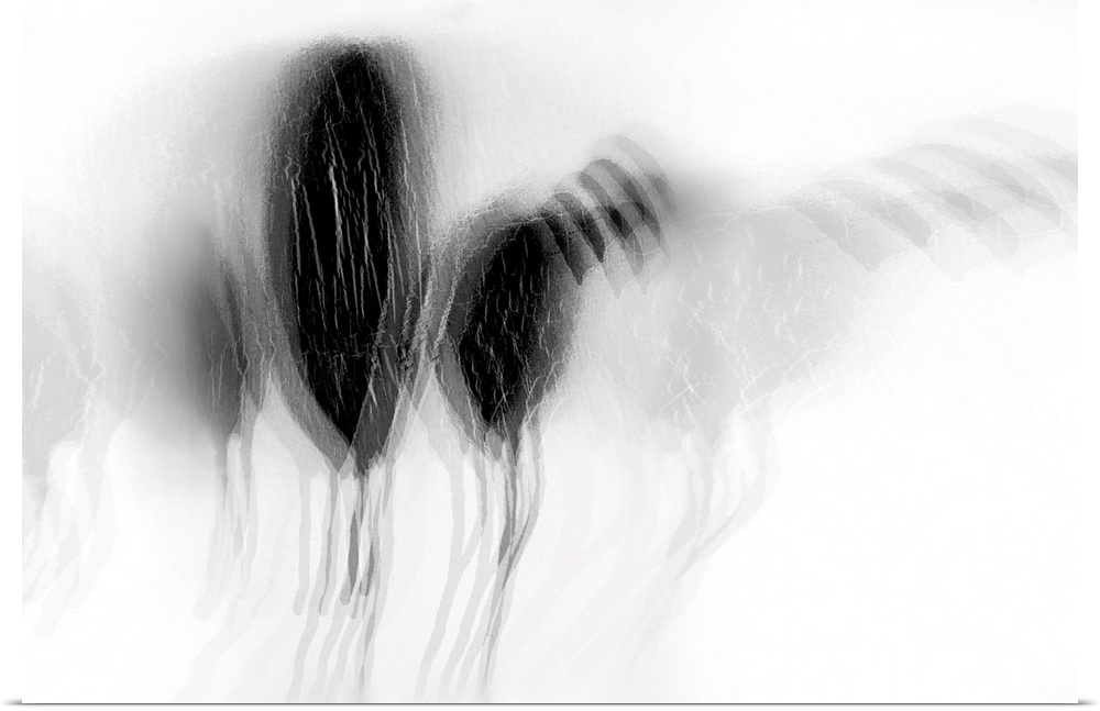 Artistic abstract photograph of a multi-exposure image in black and white.