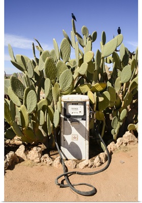 Desert Gas Pump
