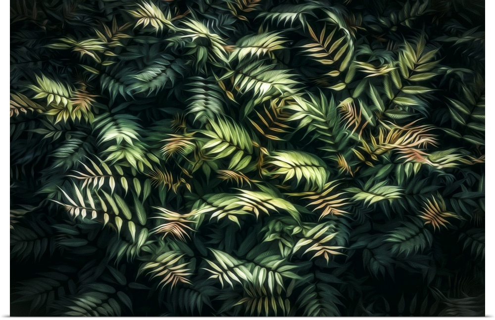 Photo Expressionism - Green leaf bush on a shrub.