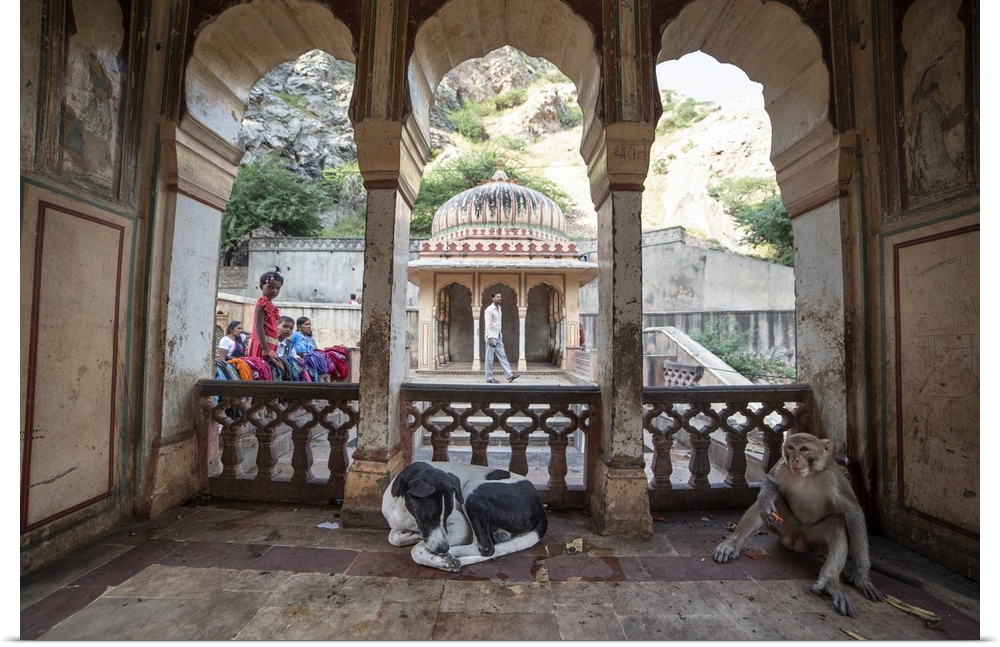 A dog and monkey sit together at a temple in India.