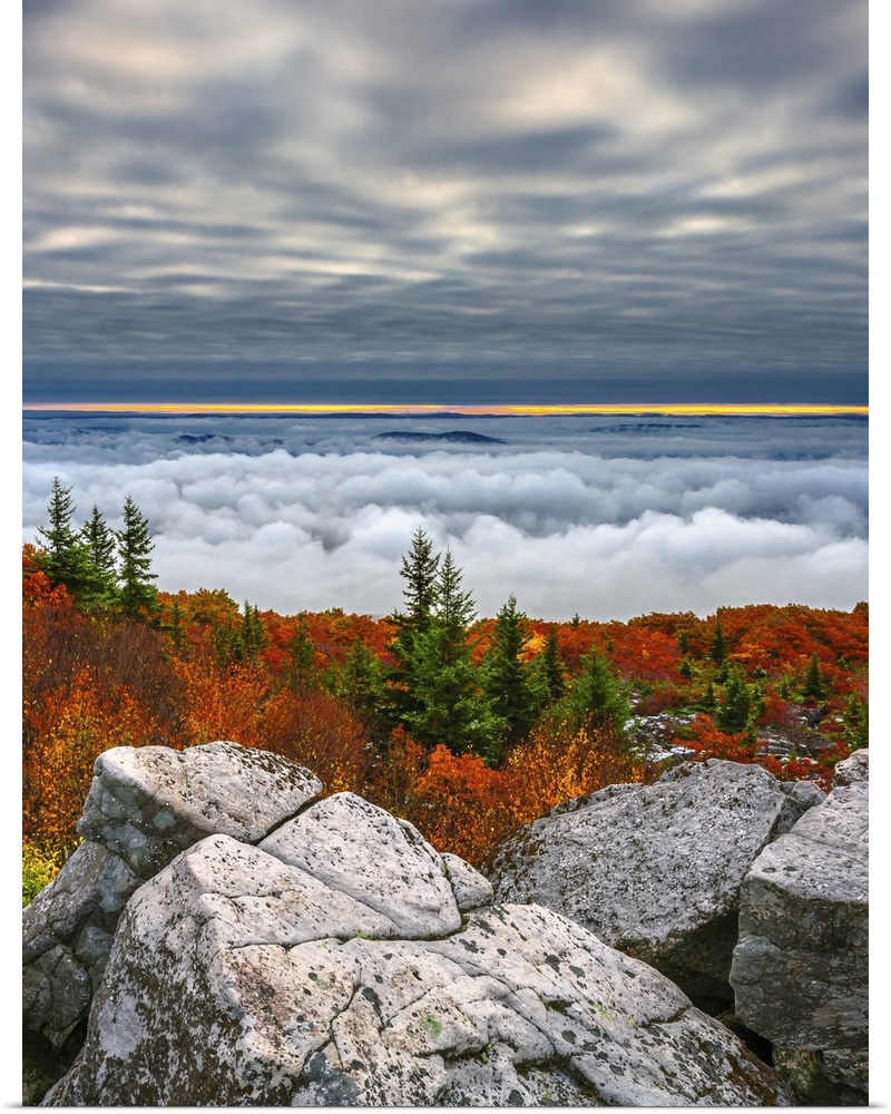 Beautiful Fall color scene from the top of Dolly Sods in West Virginia features both clouds above and clouds below the vie...