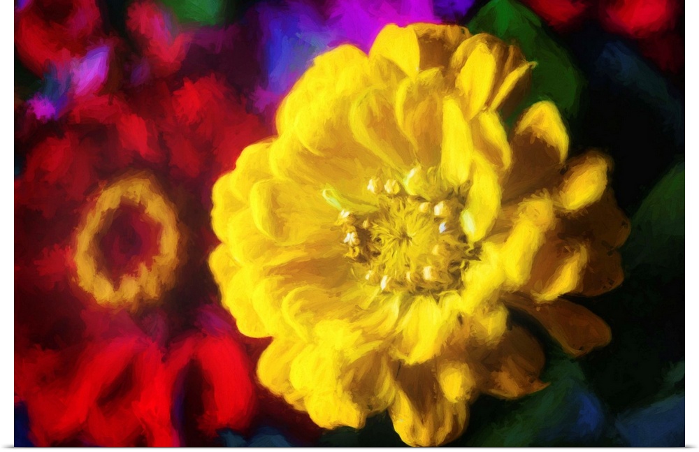 Close-up photograph of yellow and red flowers with a painted look finish.