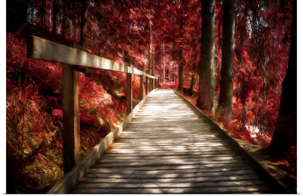 Photo Expressionism -Wooden path in a red autumn forest.