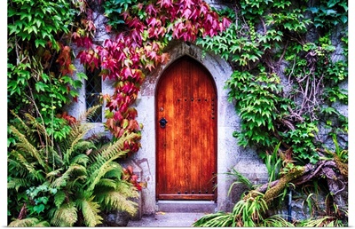Door With Ivy In Cork