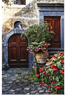 Doors and Flowers