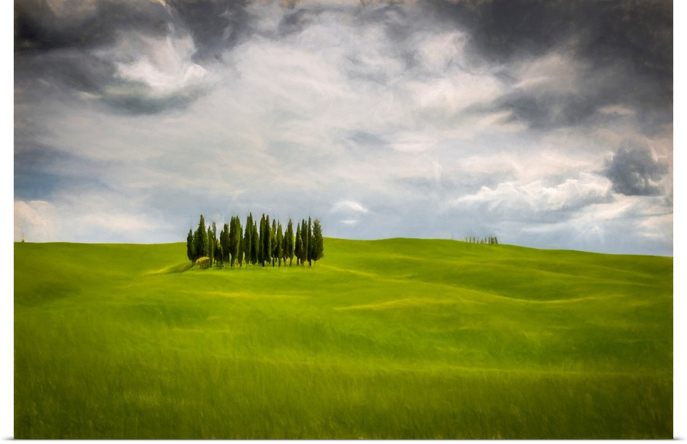 Fine art photo of a small group of trees on a hilly landscape under a cloudy sky.