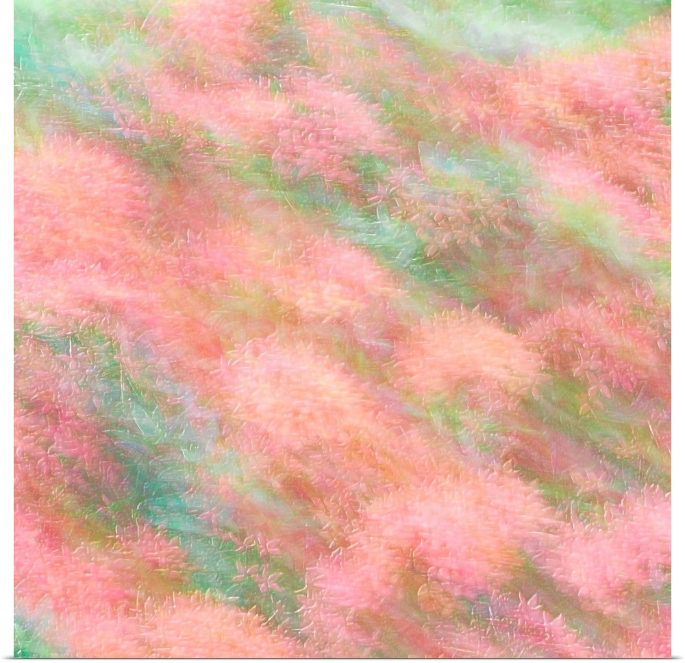 Dreamy photograph of pink flowers in a field with blurred movement and a pastel colored background.