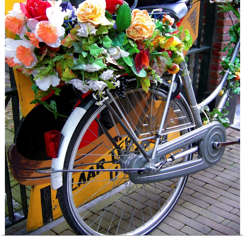 Bicycle covered with flowers in Holland.