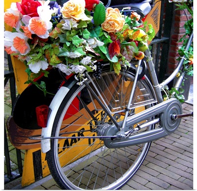 Dutch flower power
