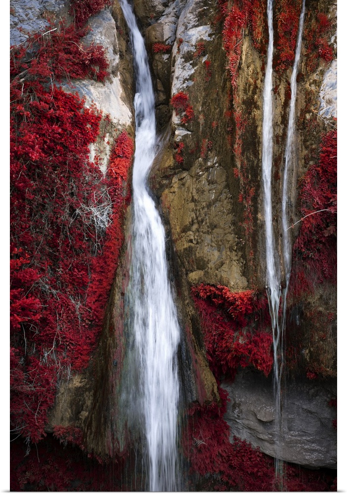A photograph of a thin waterfall running through cracked rocks and fall foliage.
