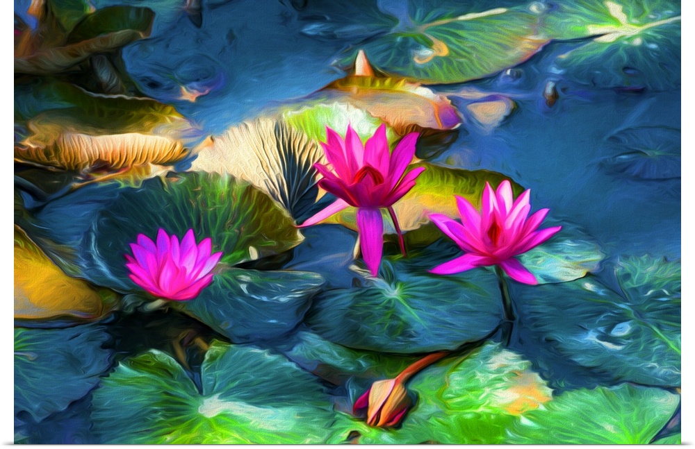 Water lily flowers in expressionist photo