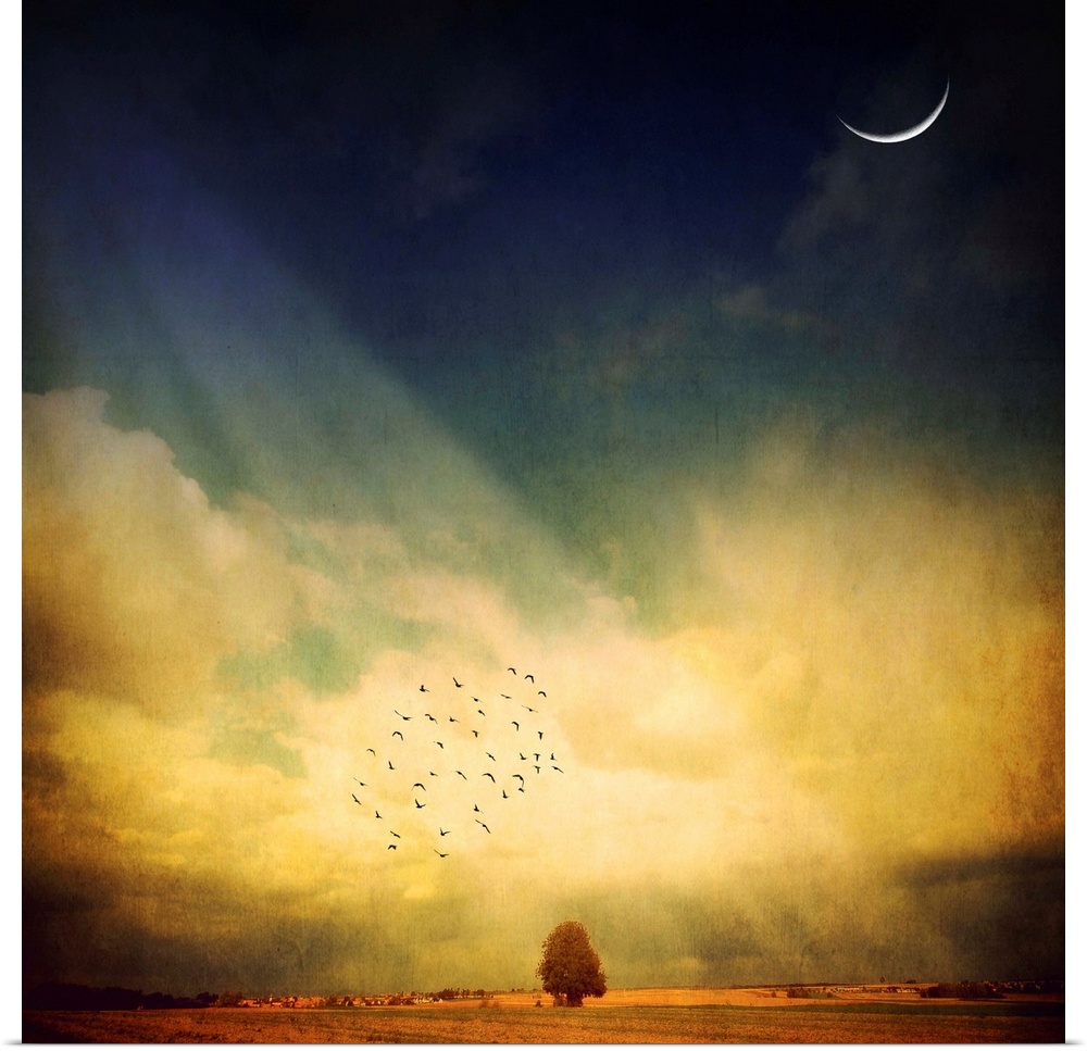 This photograph art work is a digital composite of a crescent of the moon, a small flock of birds, and a tree growing the ...