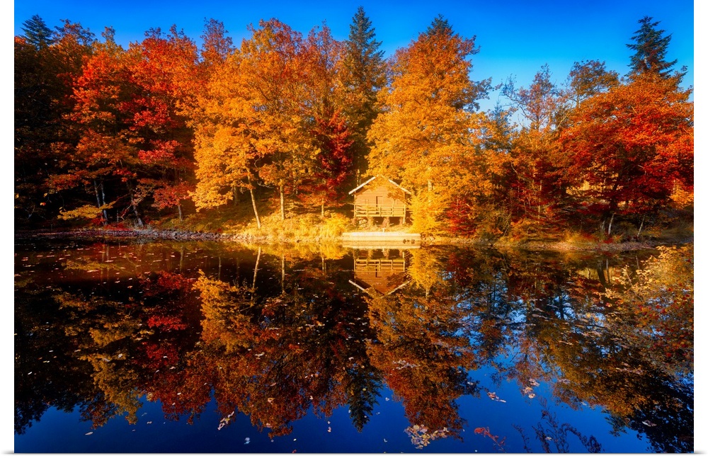 Trees in a variety of fall colors mirrored in a lake with a blue sky above.