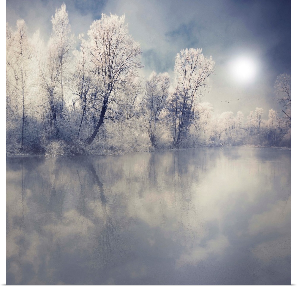 This beautiful photograph is taken from across a lake looking at snow and ice covered trees. The sun appears faint but bri...
