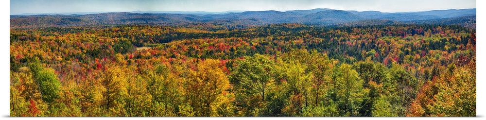 Panoramic view of a virtually endless forest turning autumn colors in New England.