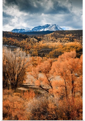 Fall Colors In Colorado