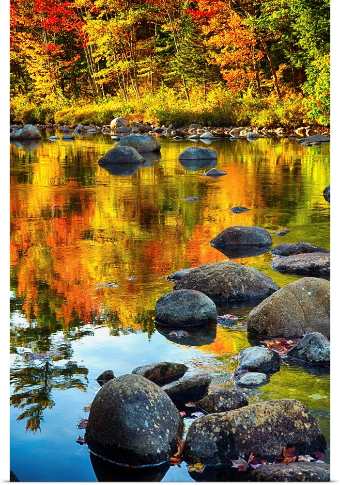 Fine art photo of bright colors of a forest in autumn being reflected in a pond full of rocks.