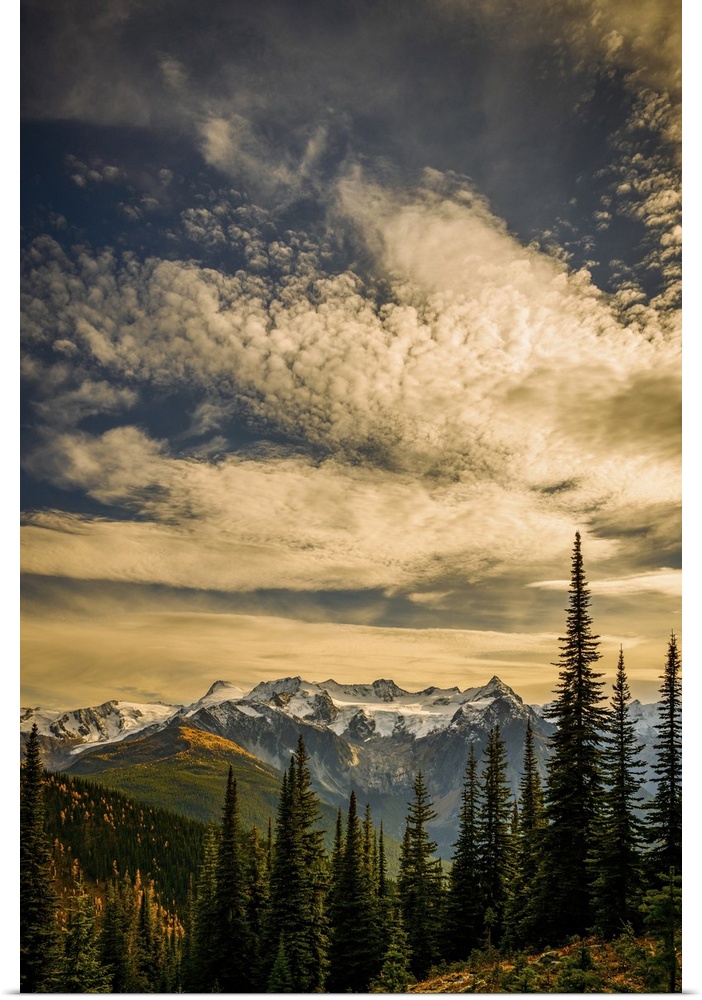 Image made on an exceptionally beautiful afternoon towards evening in the mountains of British Columbia, Canada. In the fo...