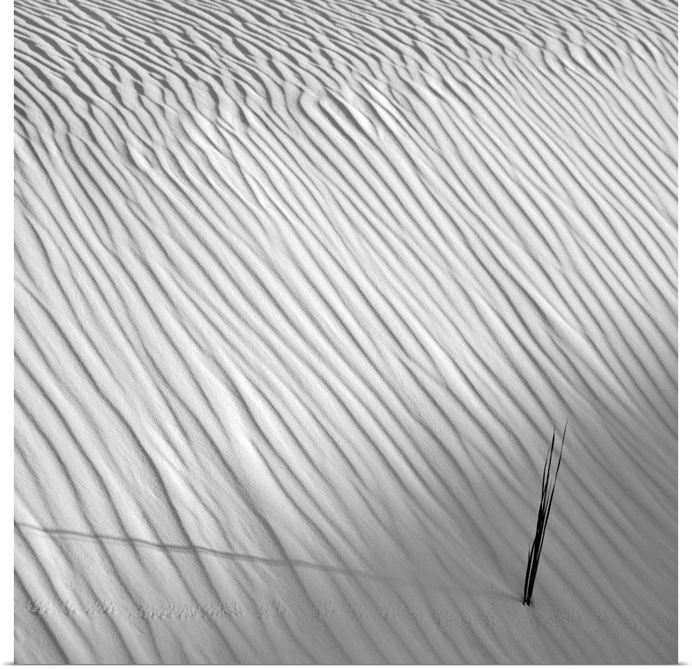 White sand dune