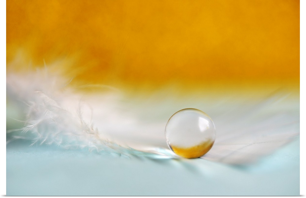 A macro photograph of a water droplet sitting on a feather against an orange background.