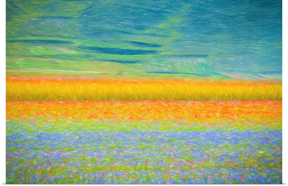 Fine art photo of a field of colorful flowers forming abstract shapes.