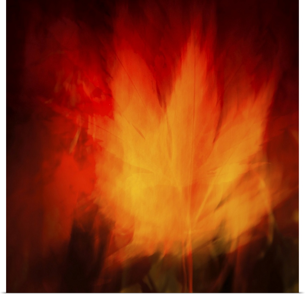 Virbrant fiery maple leaf abstract in red and gold.