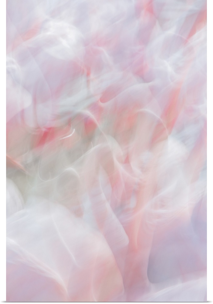 Abstract photo of a cluster of flamingos that has been edited to illustrate a motion blur effect.