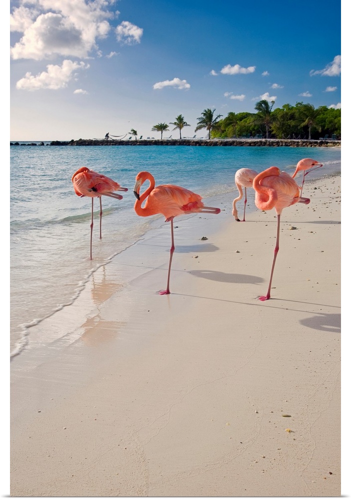 This large wall art is a vertical photograph of five flamingos relaxing on a sandy, tropical beach.