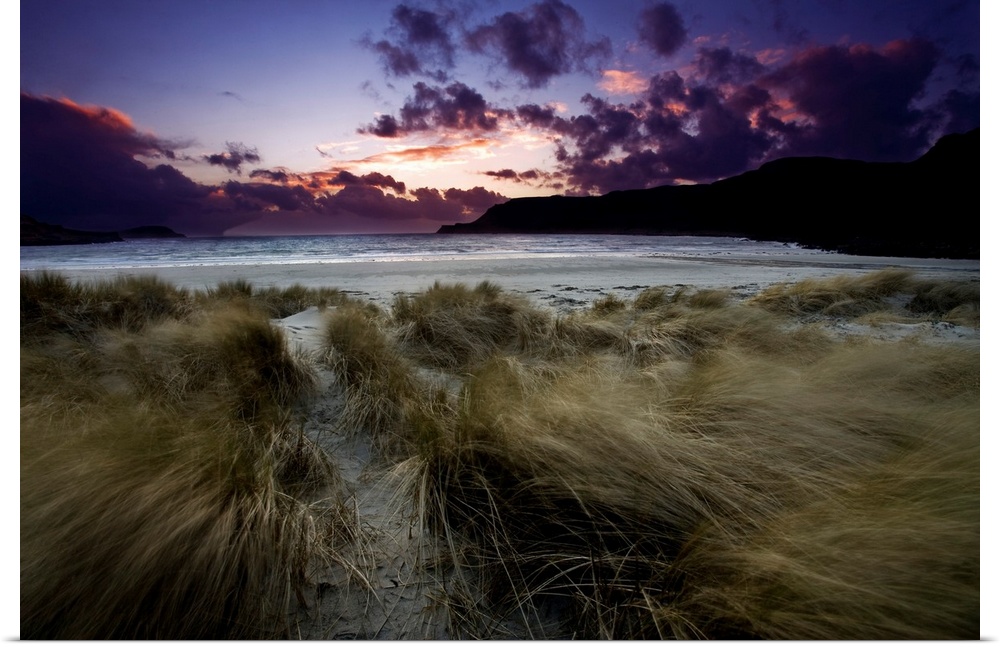 A dramatic seascape sky of blues, purples and pinks over a beach and dunes with windblown marram grasses.