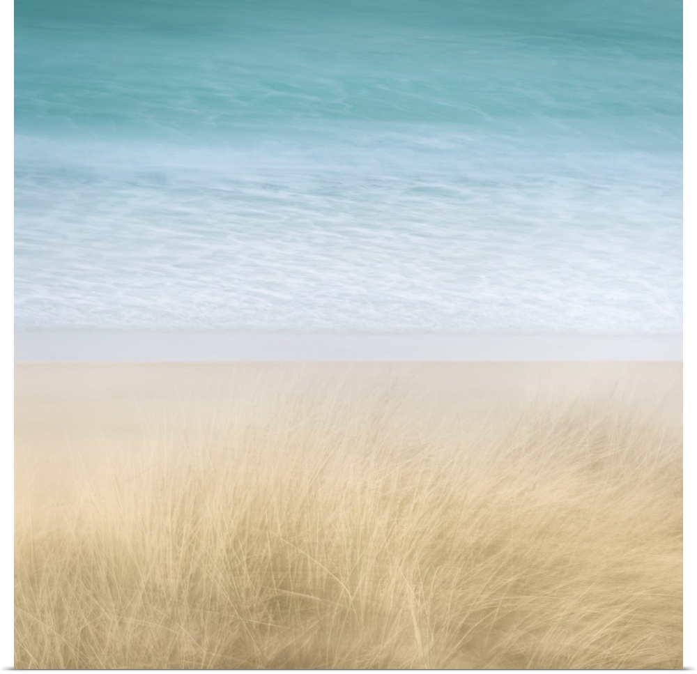 Contemporary beach scene of dune grasses blowing in the wind and turquoise water blurred in the background.