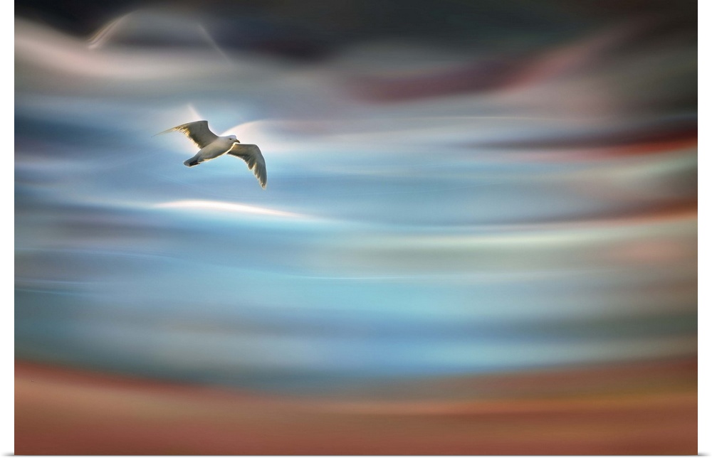 Abstract photograph of blurred and blended colors and flowing lines with a bird in mid-flight.