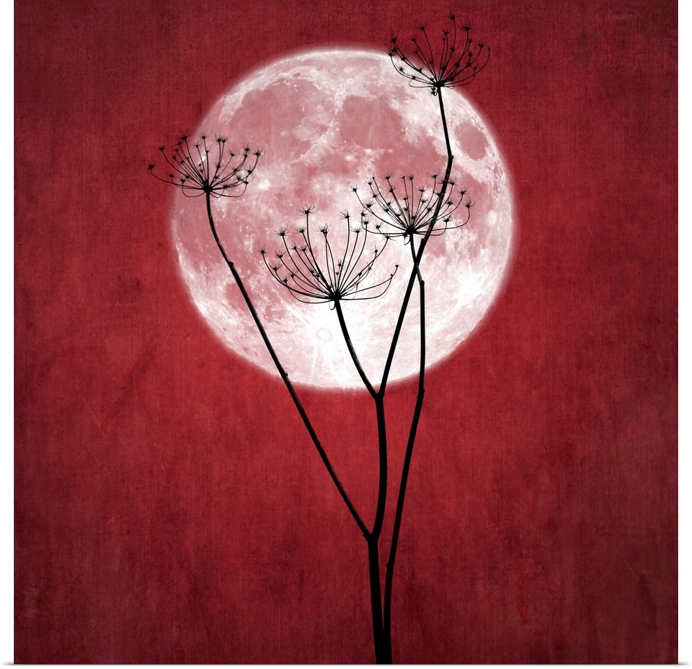 Full red moon