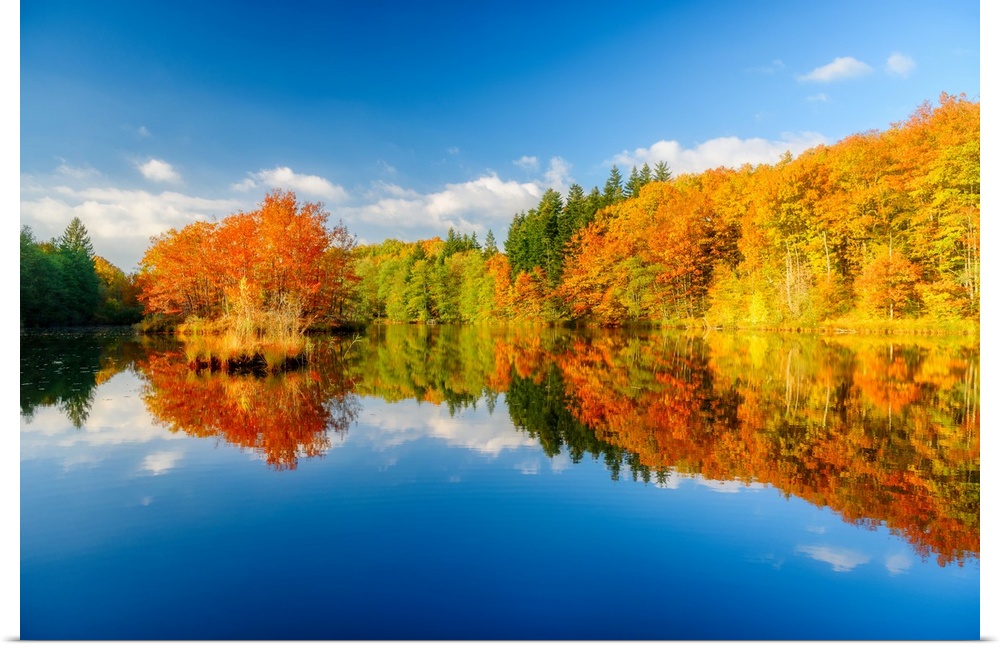Blue sky and trees turning to fall color mirrored in the calm waters at the edge of the forest.