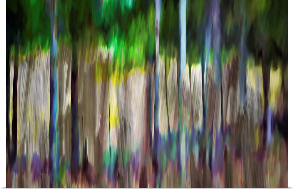 Abstract image of a group of trees and flowers in Summer. The light was bright and brought out all sorts of colors in both...