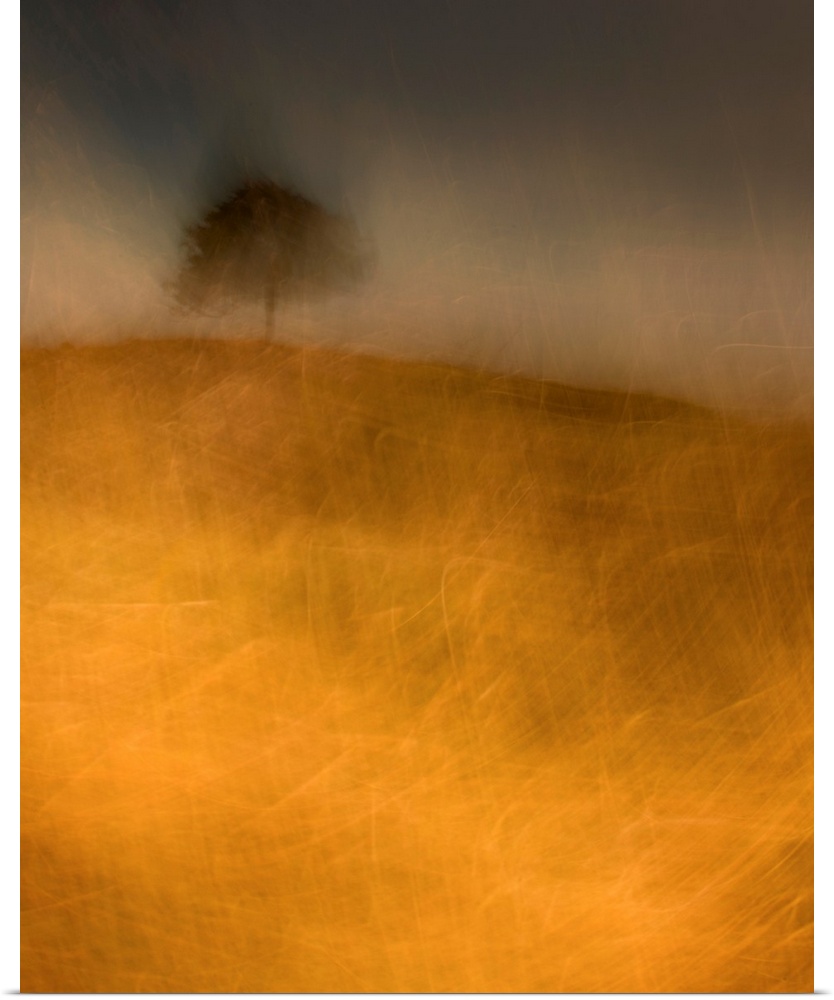 An impressionistic image of a lone tree in a storm on a small hill in a field of golden grasses.