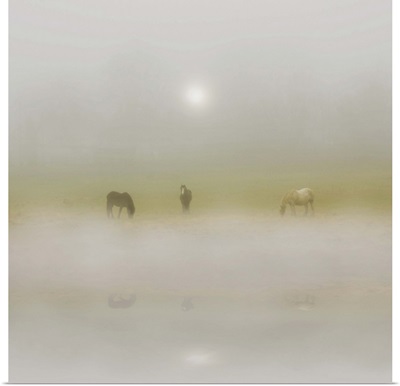 Horses Through The Mists